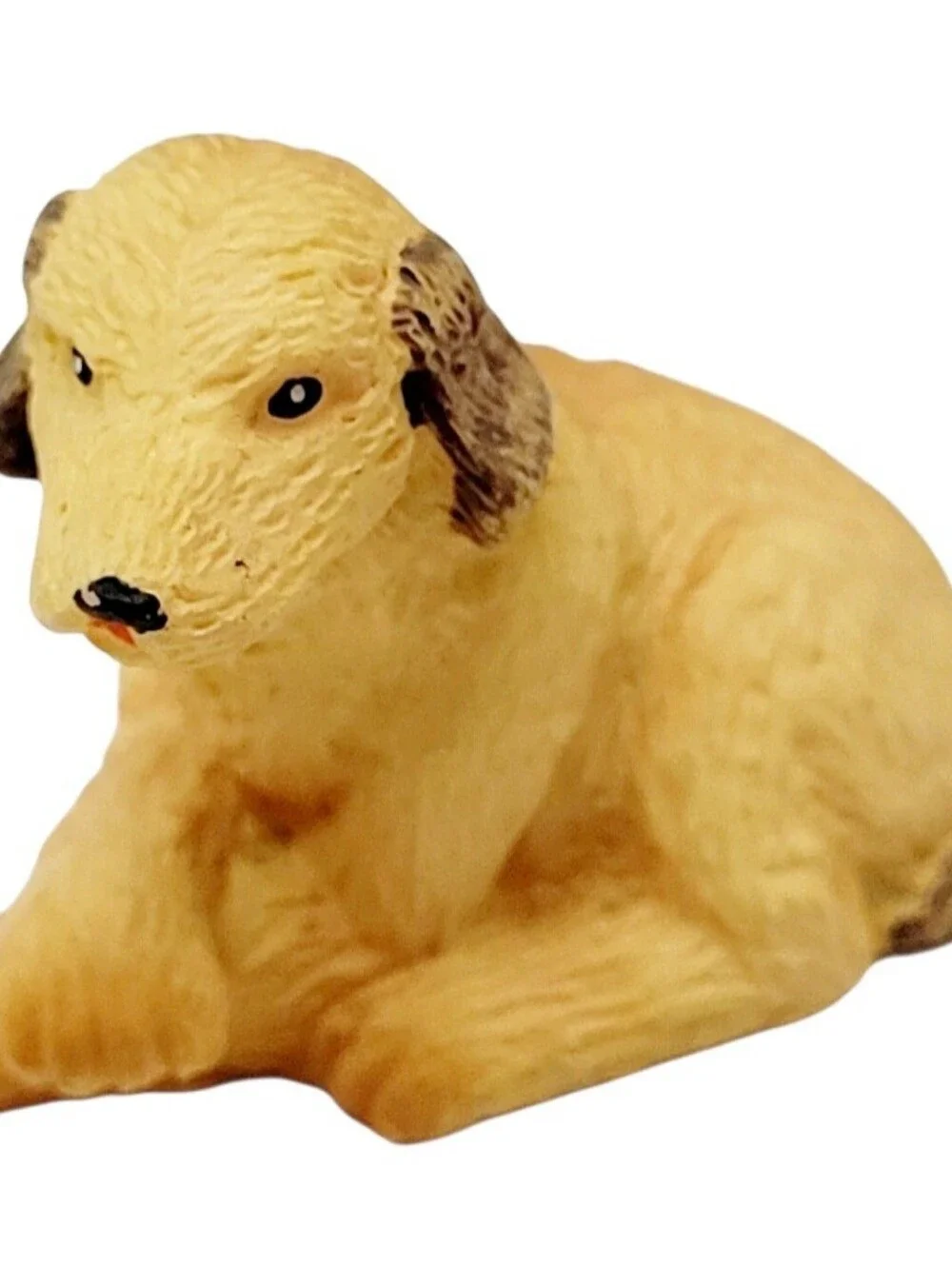 Spaniel Retriever 1